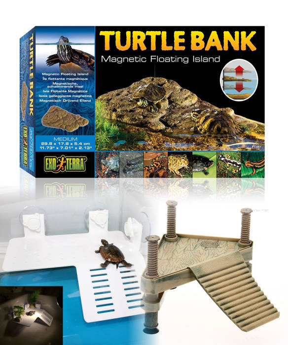 Turtle bank